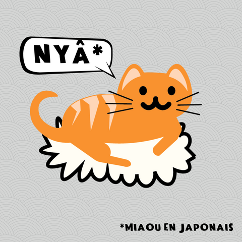 CHASHIMI SALMON 