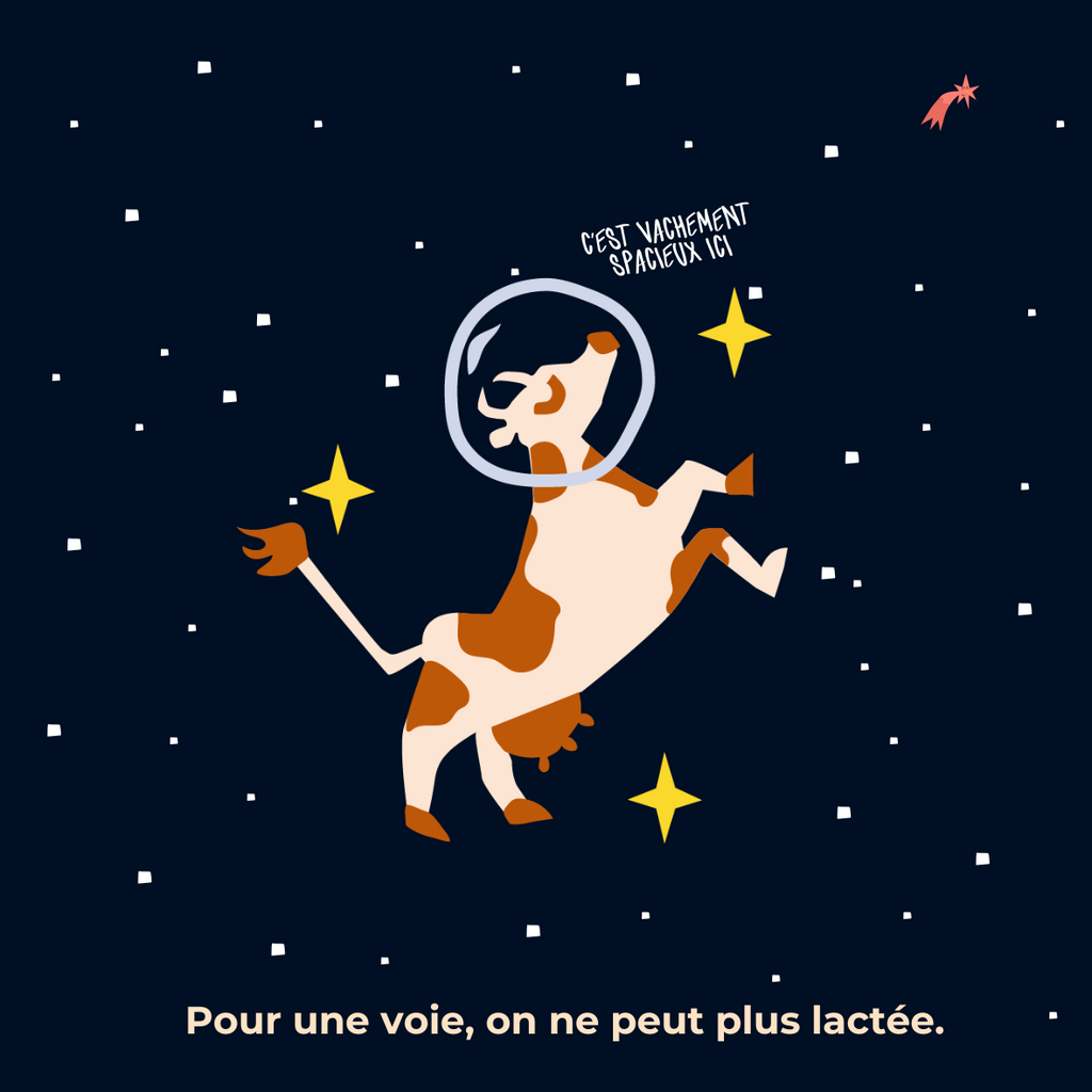 VACHEMENT SPACIEUX