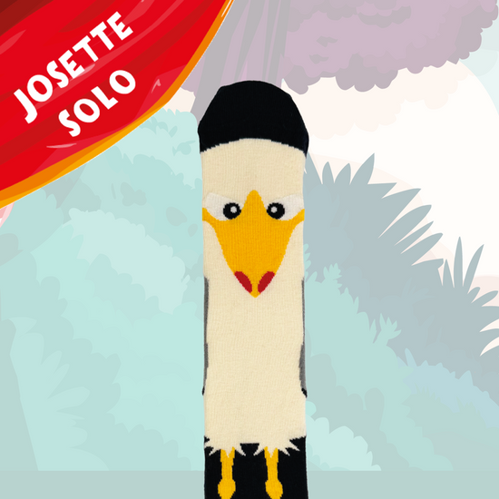 goéland chaussettes fantaisie coton bio josette & tic