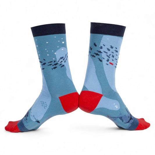 Chaussettes fantaisie A CONTRE COURANT Coton bio 1