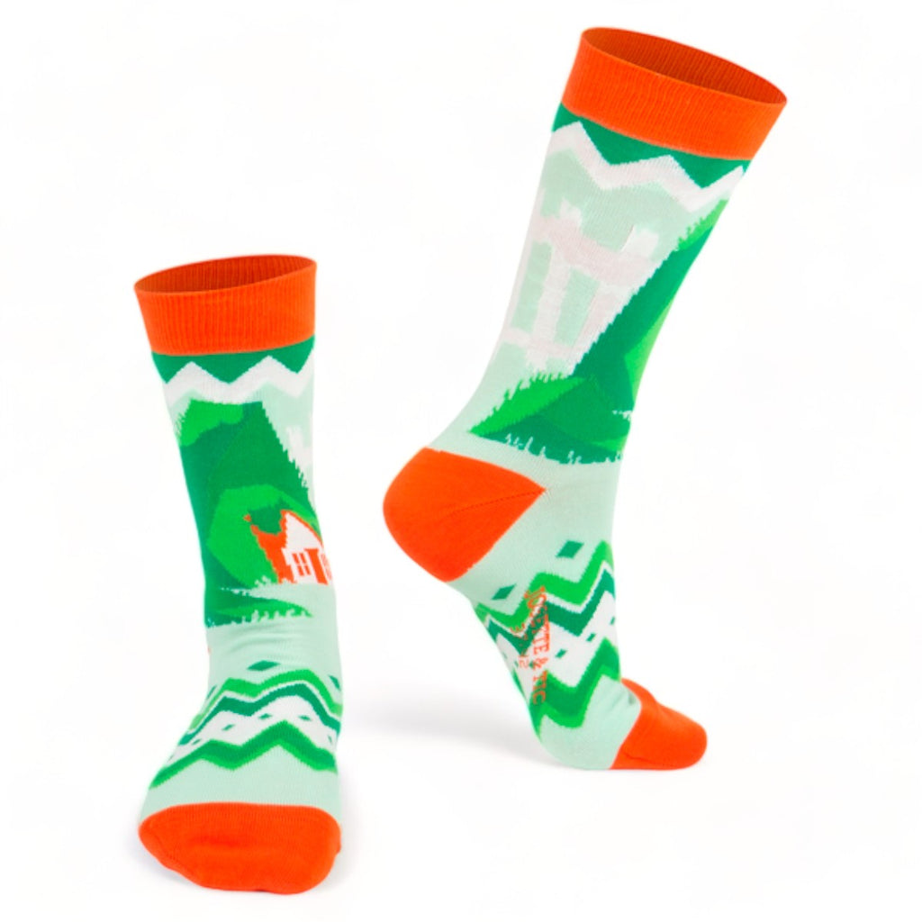 Chaussettes fantaisie ALFHOL Coton bio 1