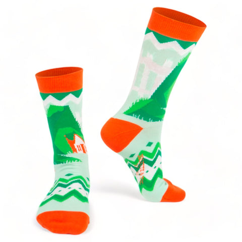 Chaussettes fantaisie ALFHOL Coton bio 1
