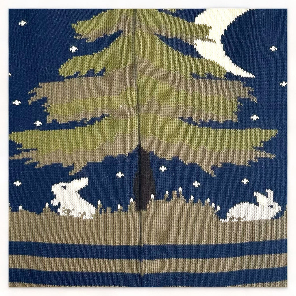 Chaussettes fantaisie AU CLAIR DE LA LUNE MON AMI JANOT Coton bio 2