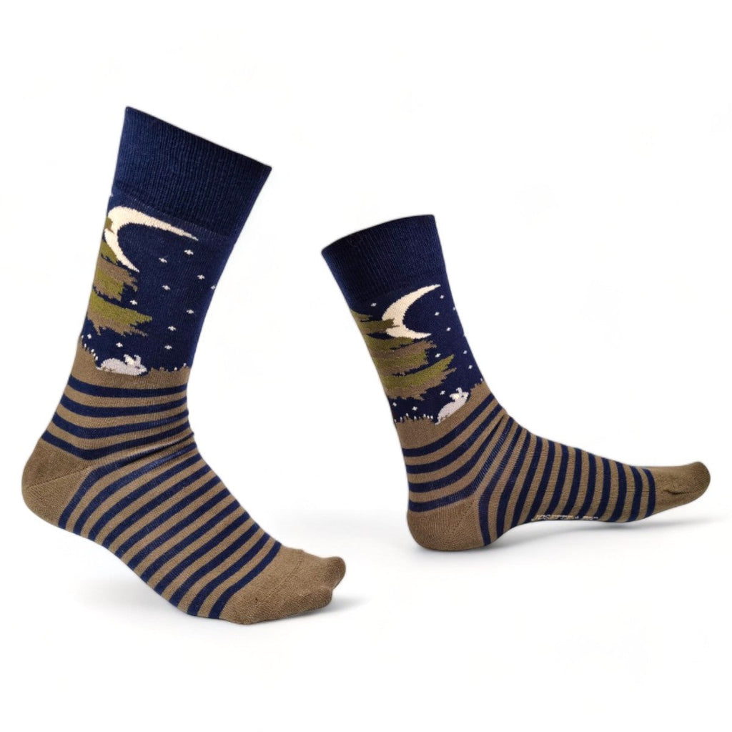 Chaussettes fantaisie AU CLAIR DE LA LUNE MON AMI JANOT Coton bio 1