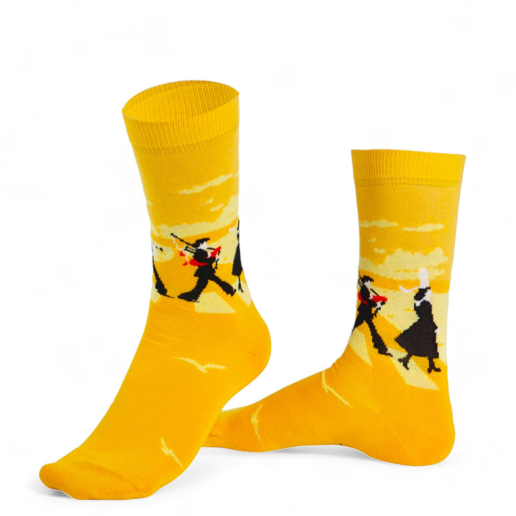 Chaussettes fantaisie BALADE EN BAGAD Coton bio 1