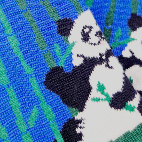 Chaussettes fantaisie BAMBOUTOSAURE Coton bio 3