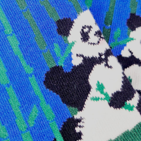 Chaussettes fantaisie BAMBOUTOSAURE Coton bio 3