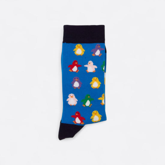 Chaussettes fantaisie BANQUISE ARC EN CIEL Coton bio 3