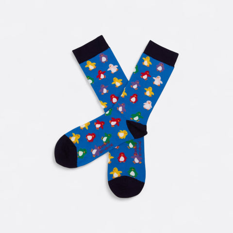 Chaussettes fantaisie BANQUISE ARC EN CIEL Coton bio 1
