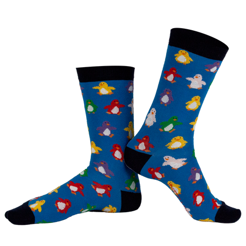 Chaussettes fantaisie BANQUISE ARC EN CIEL Coton bio 1