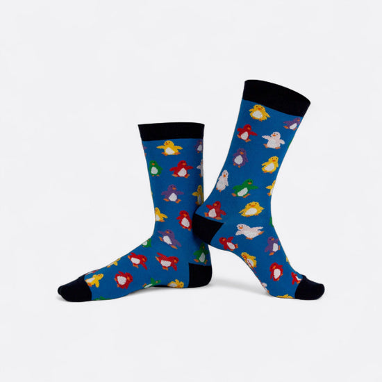 Chaussettes fantaisie BANQUISE ARC EN CIEL Coton bio 4