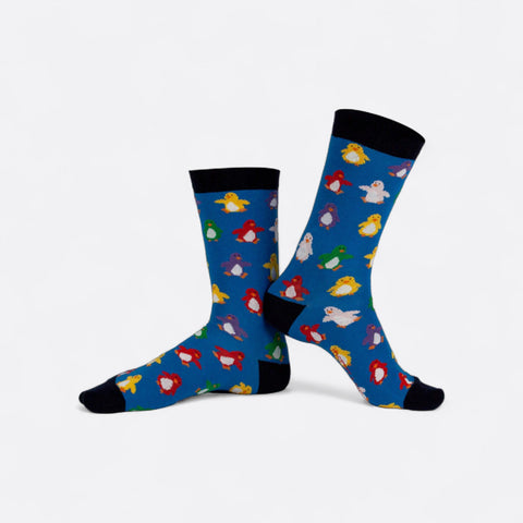 Chaussettes fantaisie BANQUISE ARC EN CIEL Coton bio 4