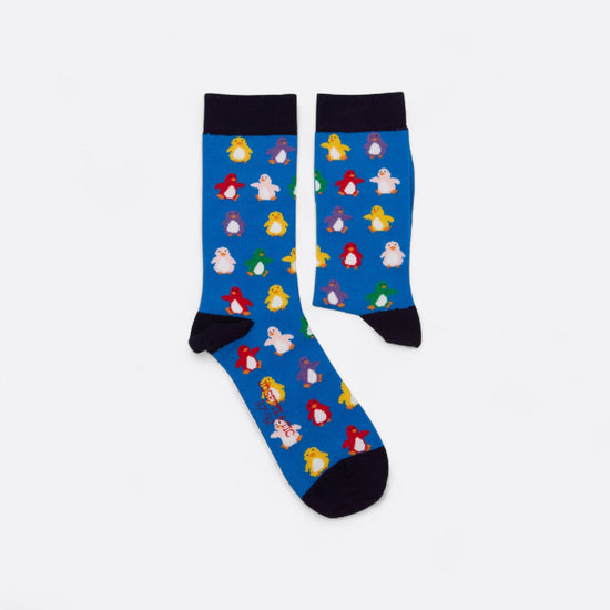 Chaussettes fantaisie BANQUISE ARC EN CIEL Coton bio 2