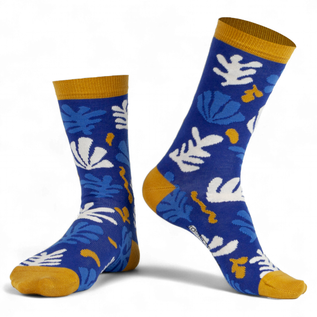 Chaussettes fantaisie BESOIN DE RIEN HENRI TOI Coton bio 1