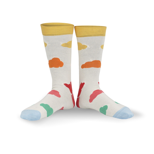 Chaussettes fantaisie CA PLANE POUR MOI Coton bio 1