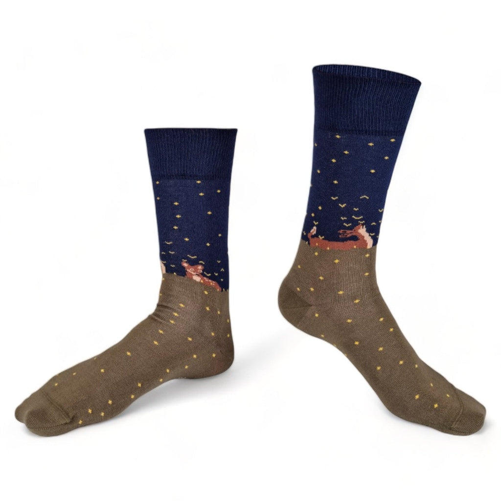 Chaussettes fantaisie CHAMPS D’ÉTOILES VOLANTES Coton bio 1