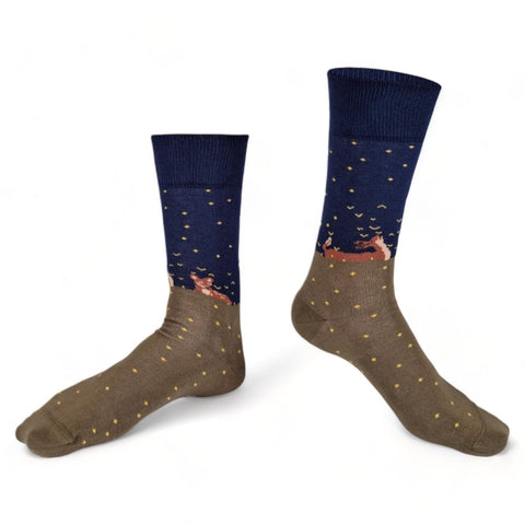 Chaussettes fantaisie CHAMPS D’ÉTOILES VOLANTES Coton bio 1