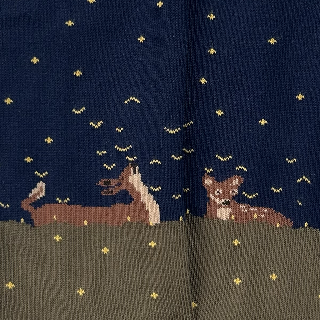 Chaussettes fantaisie CHAMPS D’ÉTOILES VOLANTES Coton bio 2