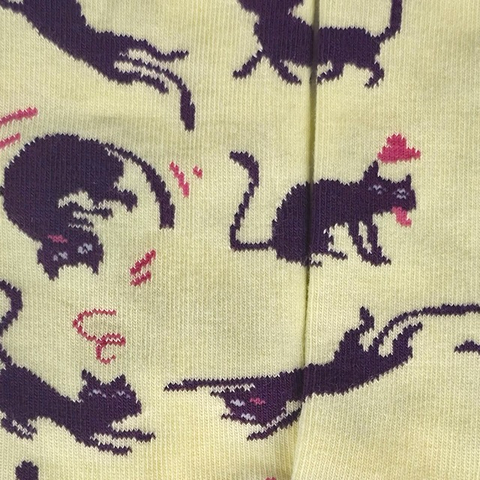 Chaussettes fantaisie CHARIVARI Coton bio 2