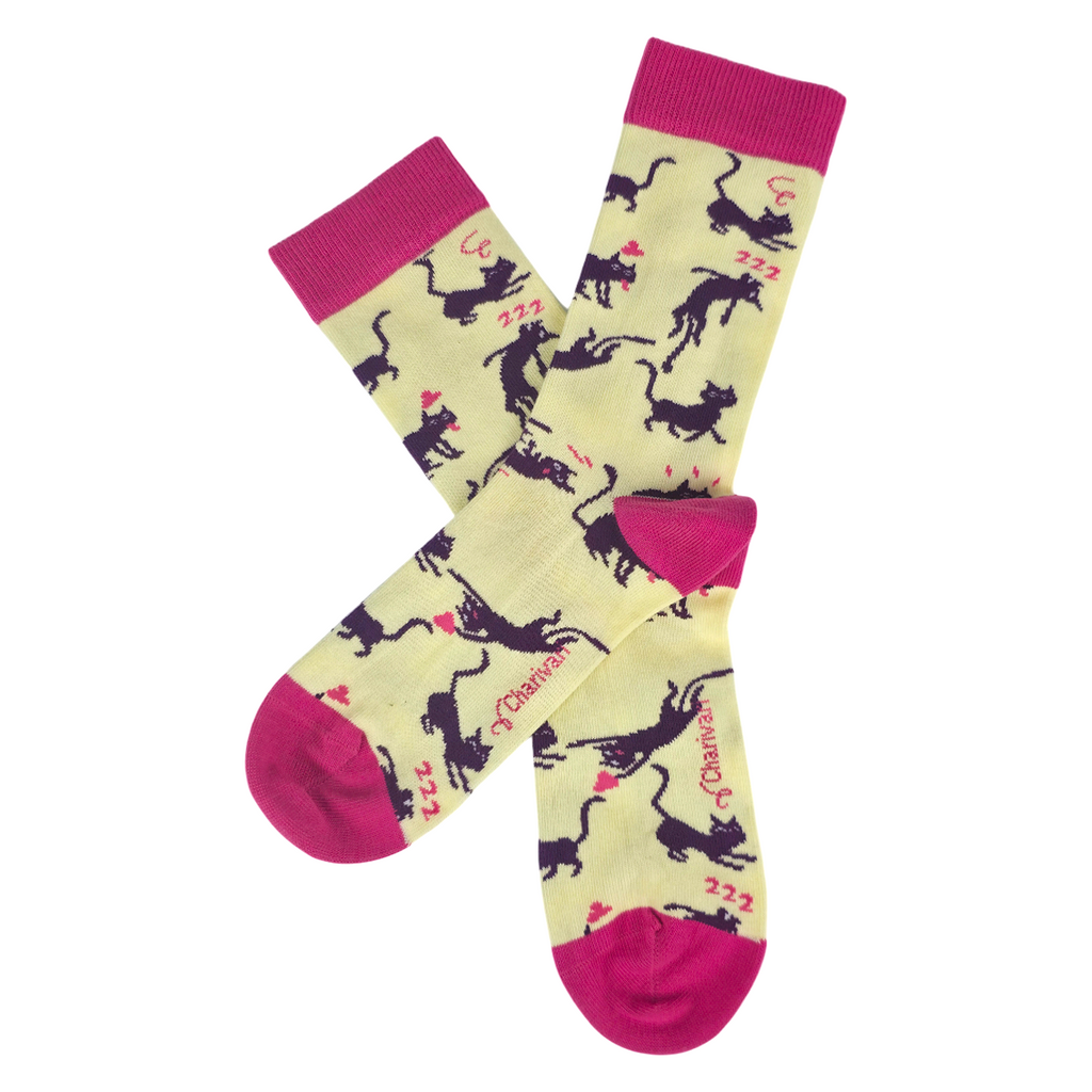 Chaussettes fantaisie CHARIVARI Coton bio 1