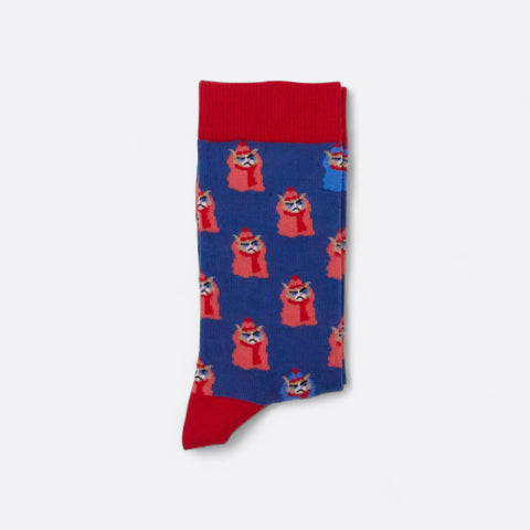 Chaussettes fantaisie CHAT PELE Coton bio 3