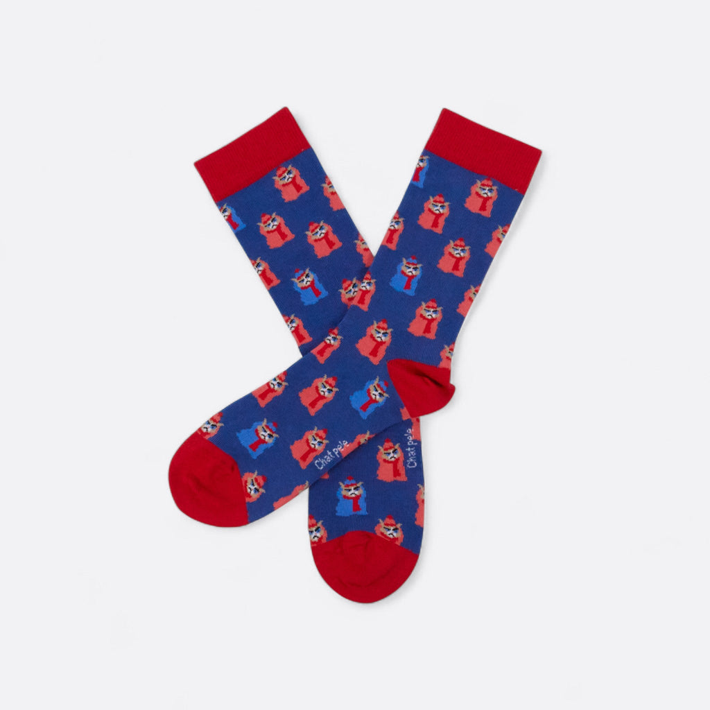 Chaussettes fantaisie CHAT PELE Coton bio 1