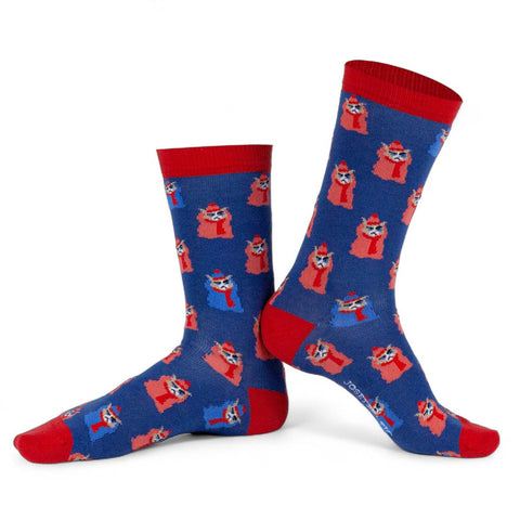 Chaussettes fantaisie CHAT PELE Coton bio 1