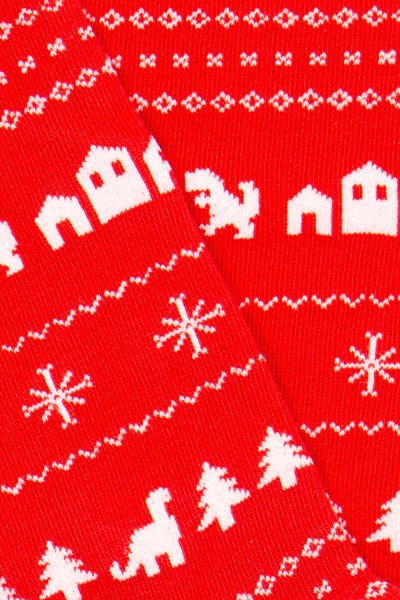 Chaussettes fantaisie DINOLAND BAMBINS Coton bio 2