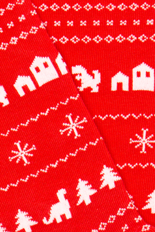 Chaussettes fantaisie DINOLAND BAMBINS Coton bio 2