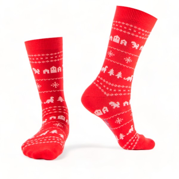 Chaussettes fantaisie DINOLAND Coton bio 1
