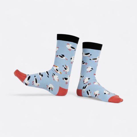Chaussettes fantaisie DODO Y-ES TU ? Coton bio 3