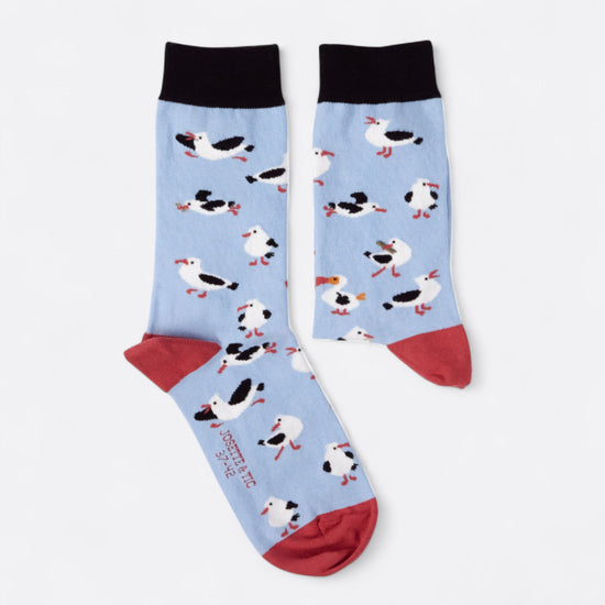 Chaussettes fantaisie DODO Y-ES TU ? Coton bio 2