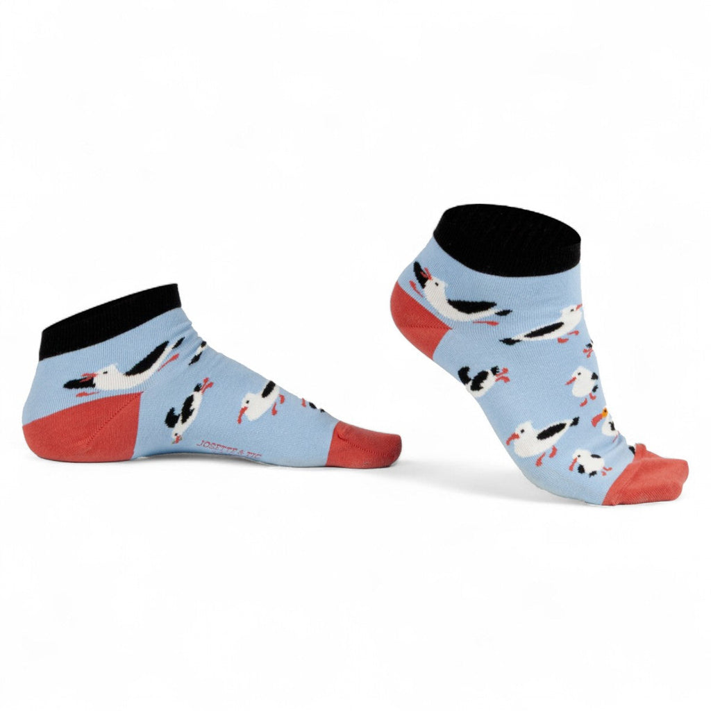 Chaussettes fantaisie DODO Y-ES TU ? COURTES Coton bio 1