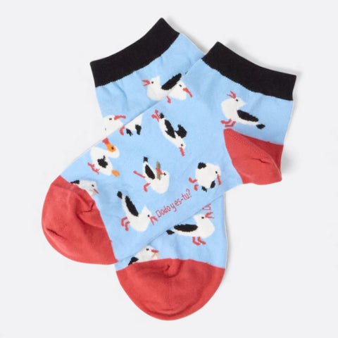 Chaussettes fantaisie DODO Y-ES TU ? COURTES Coton bio 2