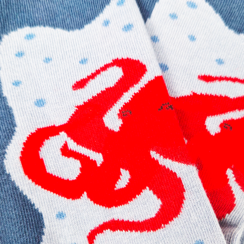 Chaussettes fantaisie GARDIEN D’EPAVE Coton bio 5