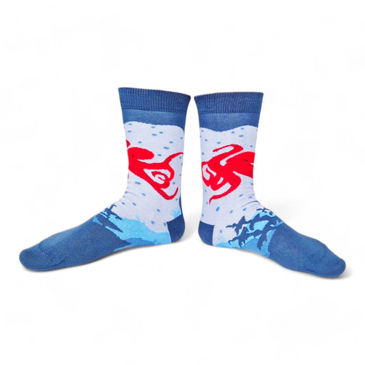 Chaussettes fantaisie GARDIEN D’EPAVE Coton bio 2