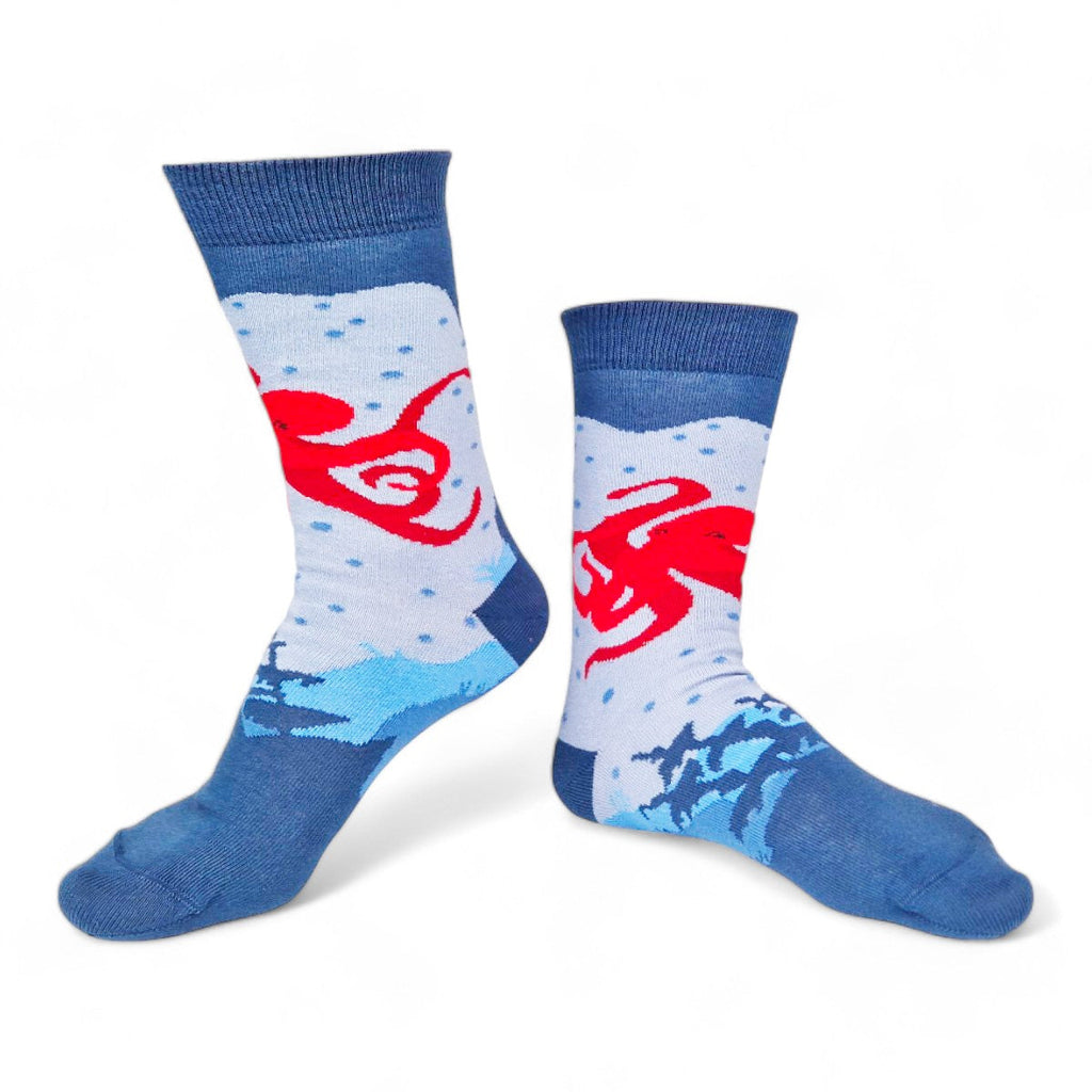 Chaussettes fantaisie GARDIEN D’EPAVE Coton bio 1