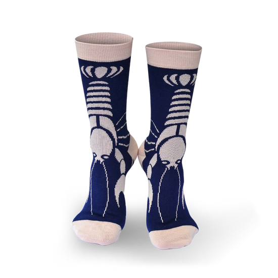 Chaussettes fantaisie J’EN PINCE POUR LUI Coton bio 1