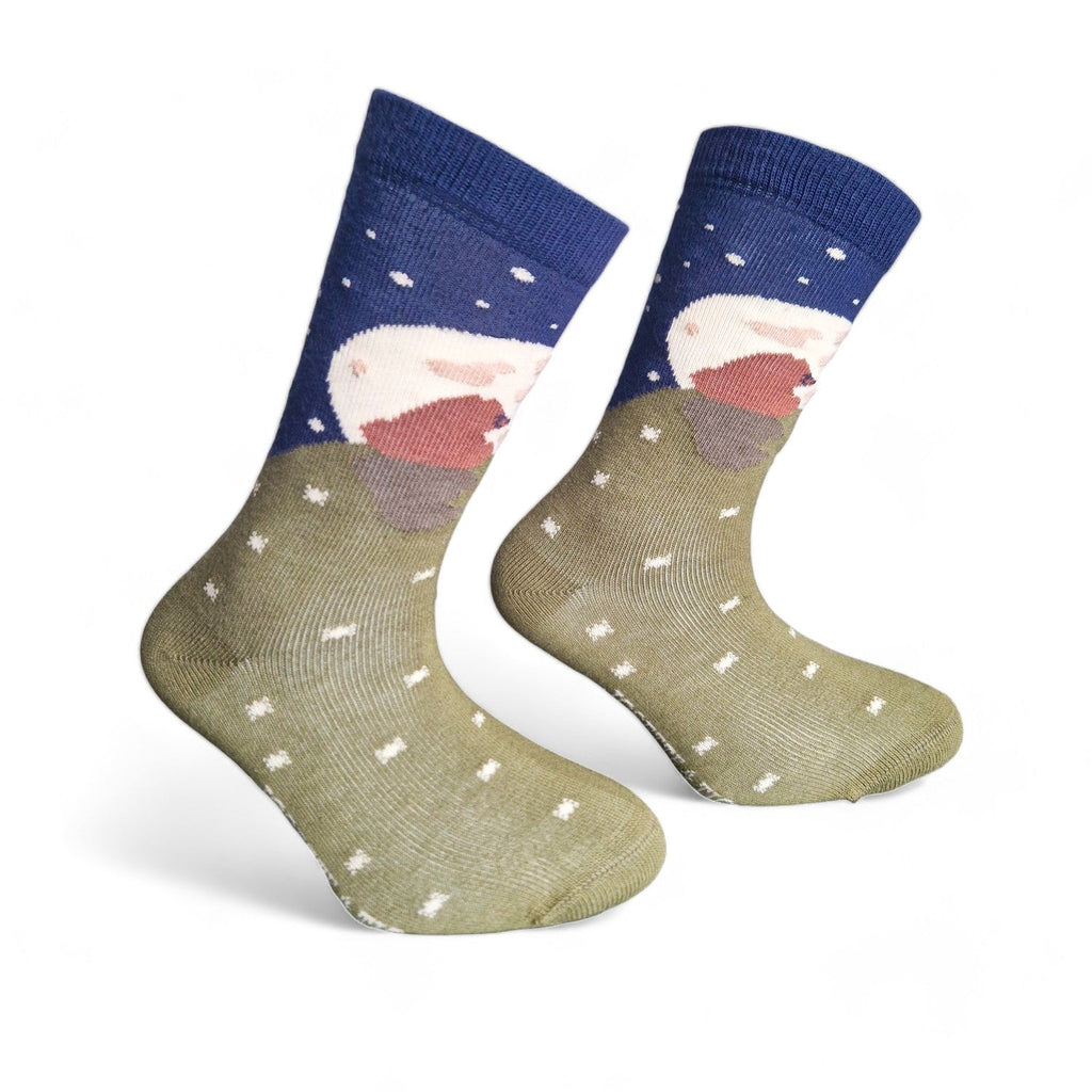Chaussettes fantaisie LA GRANDE OURSE BAMBINS Coton bio 1