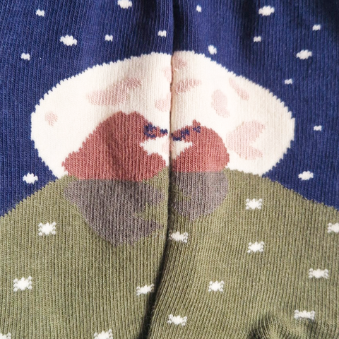 Chaussettes fantaisie LA GRANDE OURSE BAMBINS Coton bio 3
