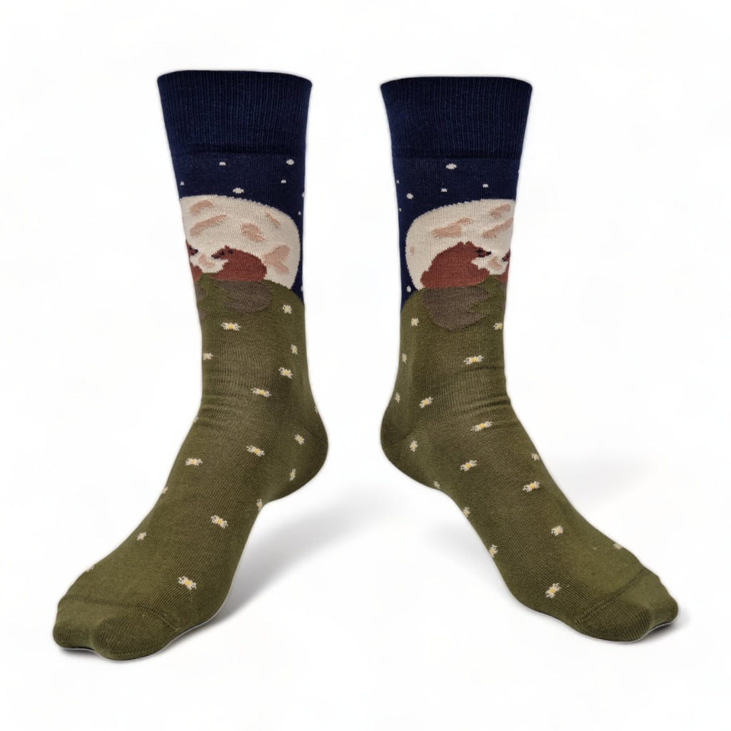 Chaussettes fantaisie LA GRANDE OURSE Coton bio 1