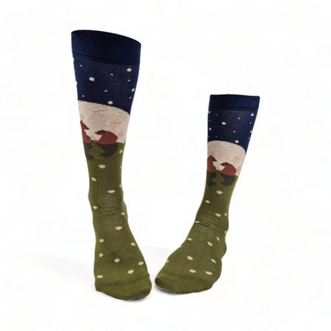 Chaussettes fantaisie LA GRANDE OURSE HAUTES Coton bio 1