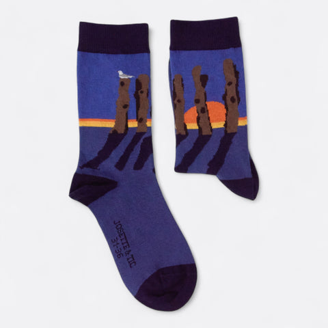 Chaussettes fantaisie LAMES BREIZHÉES Coton bio 2