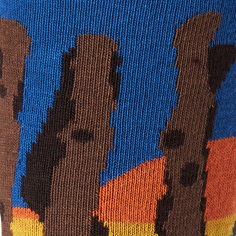 Chaussettes fantaisie LAMES BREIZHÉES Coton bio 3