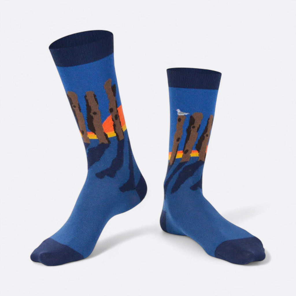 Chaussettes fantaisie LAMES BREIZHÉES Coton bio 1