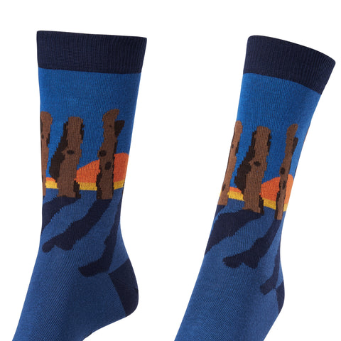 Chaussettes fantaisie LAMES BREIZHÉES Coton bio 2