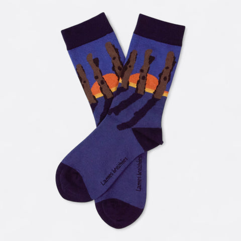 Chaussettes fantaisie LAMES BREIZHÉES Coton bio 1