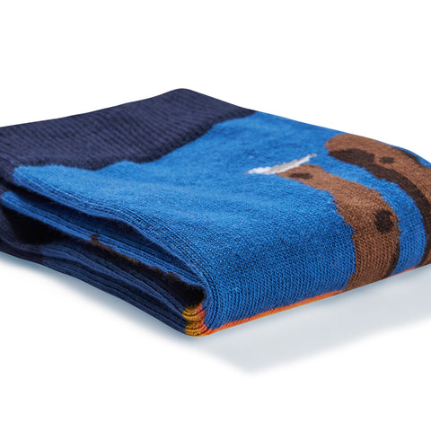 Chaussettes fantaisie LAMES BREIZHÉES Coton bio 5