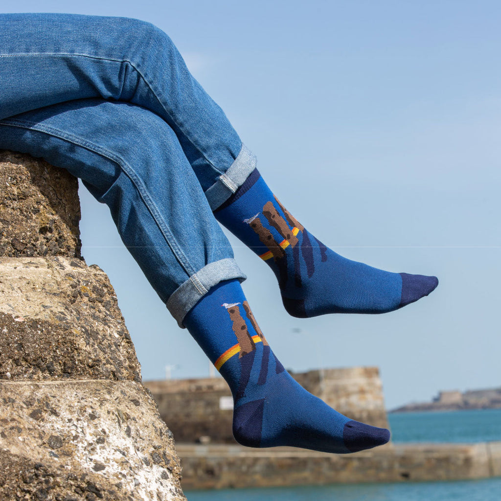 Chaussettes fantaisie LAMES BREIZHÉES Coton bio 1