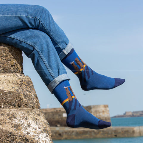 Chaussettes fantaisie LAMES BREIZHÉES Coton bio 1